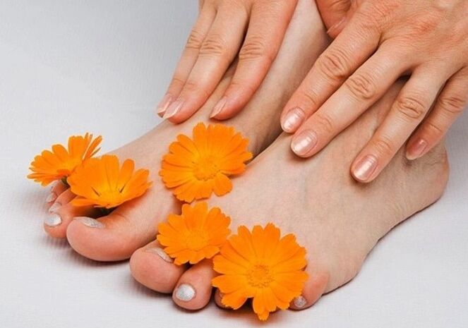 The fungus of the legs and nails