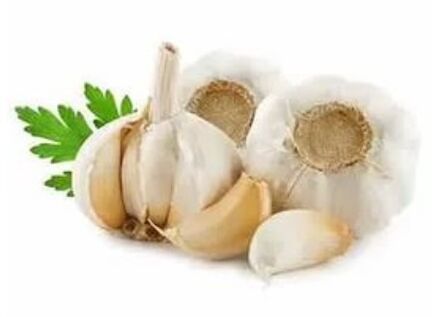 Methods for treating nail fungus with garlic