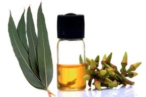 Eucalyptus oil for the treatment of onycomycosis