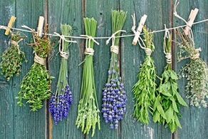 herbs for treating nail fungus